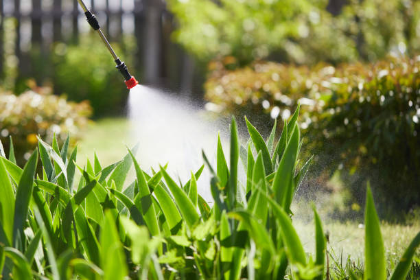 24/7 Emergency Fumigation Services experts in Palm Bay, FL